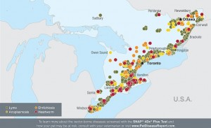 Tick-Map