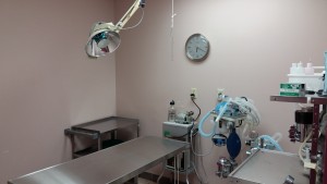 Avonlea Animal Hospital Surgery Room