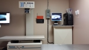 Avonlea Animal Hospital Digital X-Ray